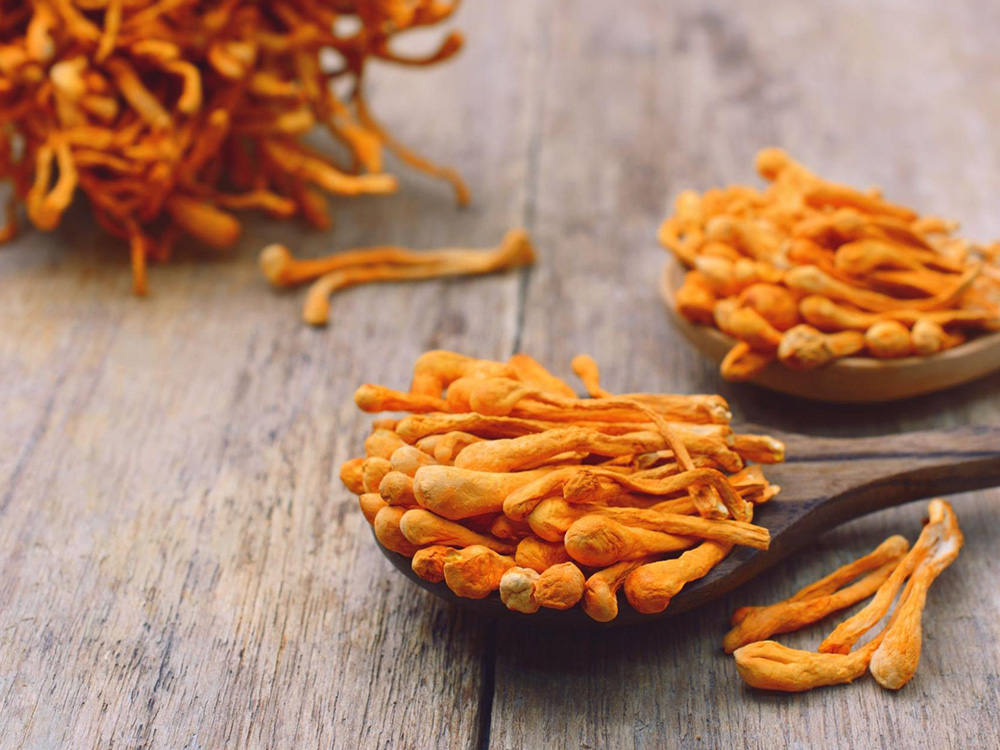 Cordyceps for low brain energy